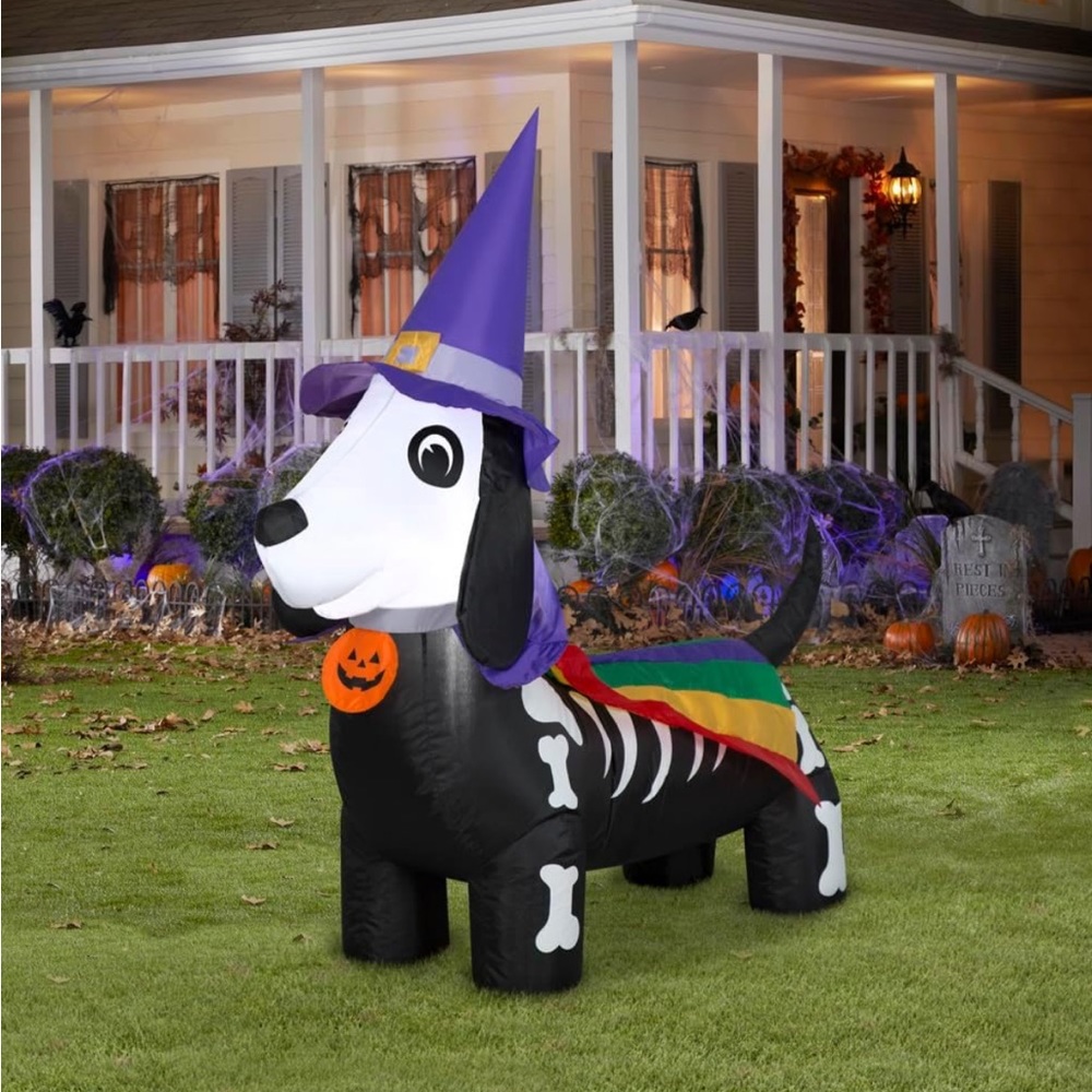 Airblown Rainbow Dog with Witch Hat Doxen
